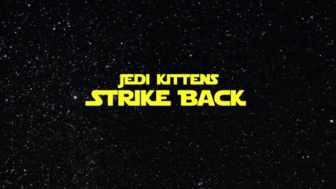 Jedi-kittens-strike-back