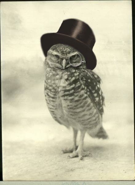 SuperbOwl