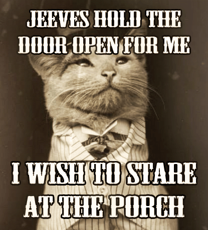 aristocat-jeeves-hold-the-door-stare-at-porch