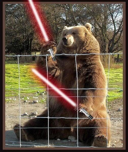 bear-with-lightsabers