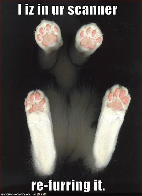 cat-adds-fur-to-your-scanner