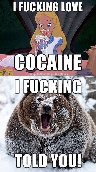 cocaine-alice-bear