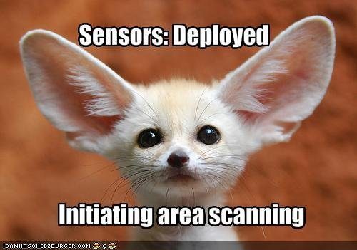 creature-deploys-its-sensors