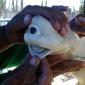 cyclops-shark
