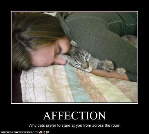 demotivational-affection