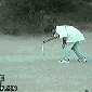 dog-and-fireworks