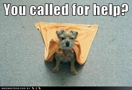 dog-called-help