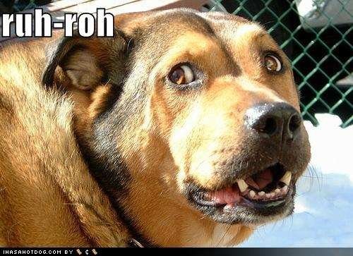dog-makes-scooby-doo-noise