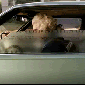 dollar-car-window-wachington