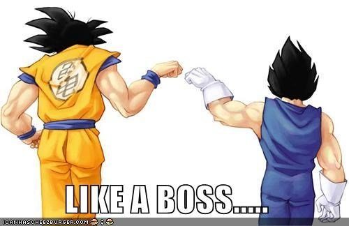 dragon-ball-z-goku-vegeta-like-a-boss