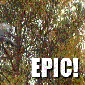 epic-fishing