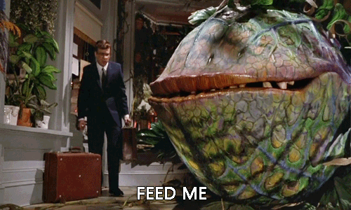 feed-me-little-shop-of-horrors