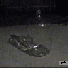 fire_in_the_jar