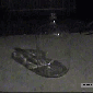 fire_in_the_jar