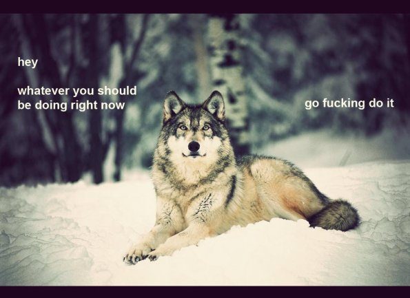 go-do-it