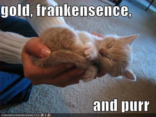 gold-frankensense-and-purr