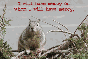i-will-have-mercy-on-whom-i-will-have-mercy