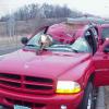 insurance_classics_roadkill_kills