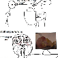 lion-king