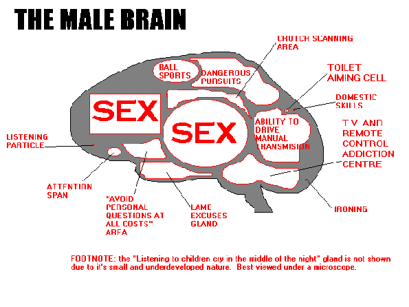 malebrain
