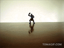 martial-arts-bird