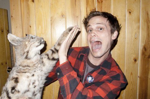 matthew-gray-gubler-cat-high-five