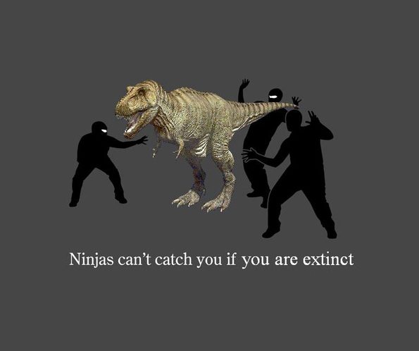 ninjas-extinct