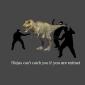ninjas-extinct