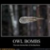owl-bombs