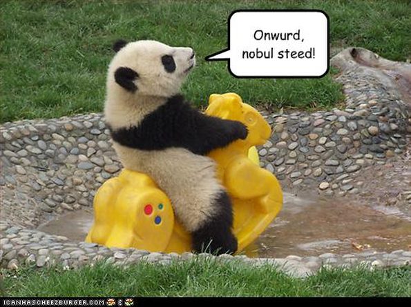 panda-has-steed