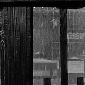 rainy-japanese-teahouse