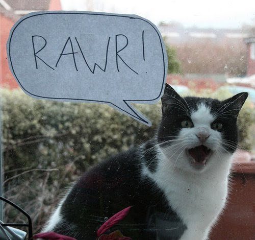 rawr-paper-caption