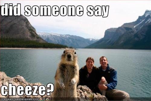 squirrel-wants-cheese