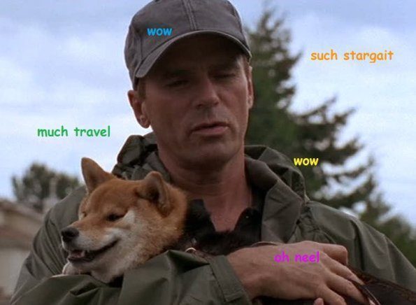 stargate-shiba-much-wow