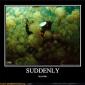 suddenly-jellyfish