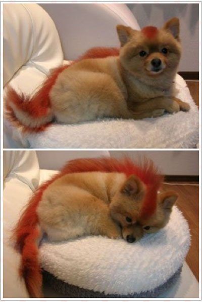 therealfirefox