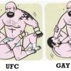 ufc-vs-gay-porno