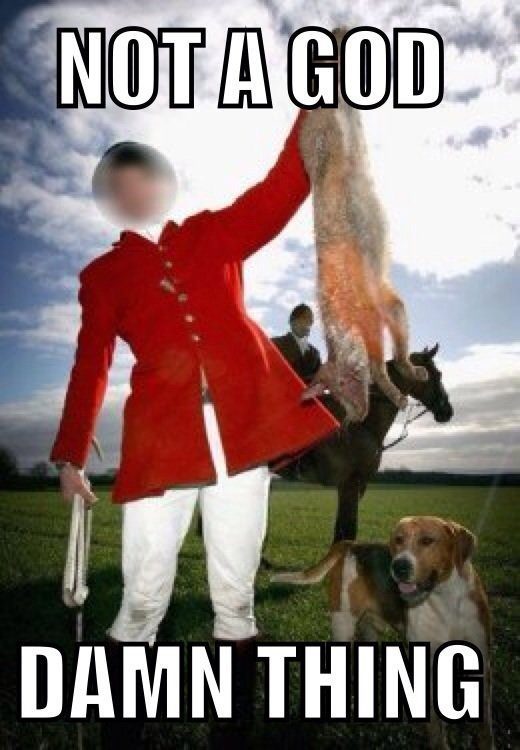 what-does-the-fox-say