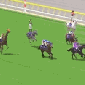 wierd-horse-race