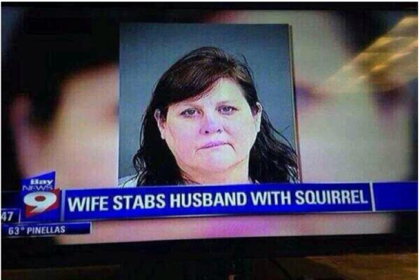 wife-stabs-husband-with-squirrell