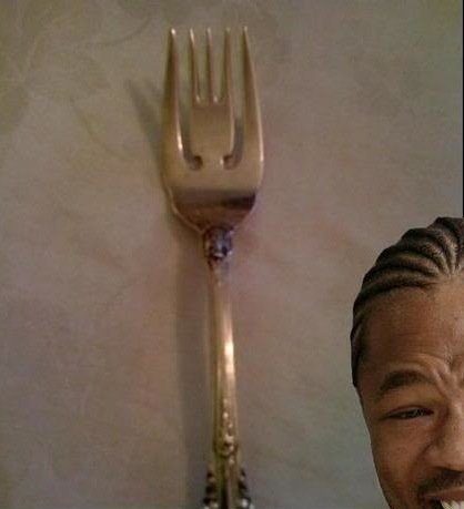 yo-dawg-i-heard-you-like-forks