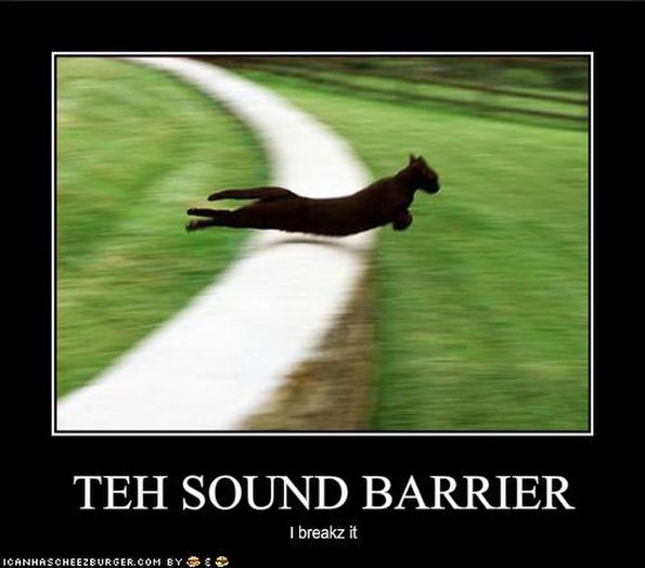 cat-breaks-the-sound-barrier