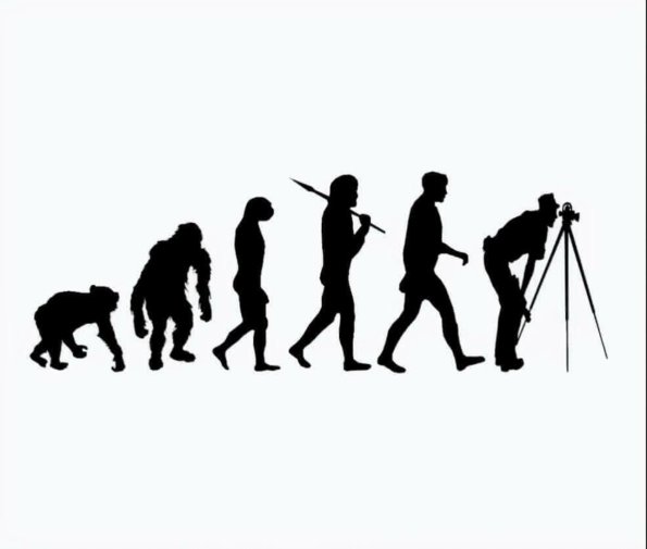 Evolution to Surveyor