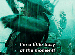 Im-a-little-busy-at-the-moment-pirates