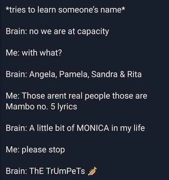 Mambo-number-5-brain