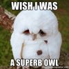 Superb-Owl-XLVIII