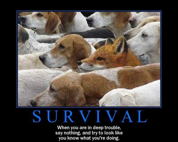 art-of-survival