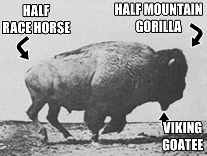 badass-buffalo