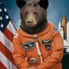 bear-astronaut-bearstronaut