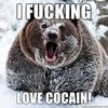 bear-loves-cocaine